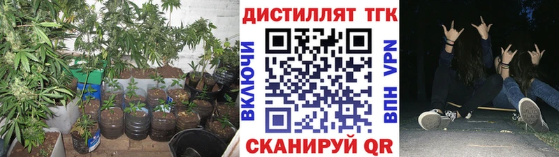 закладка  OMG   ТГК концентрат  Рыльск 