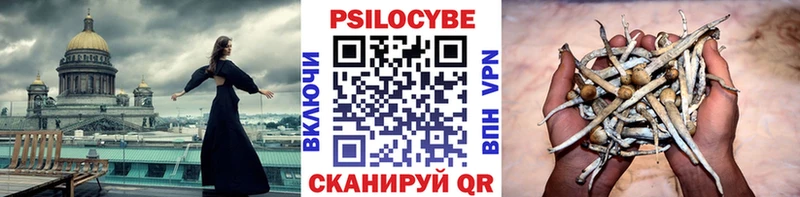 МЕГА ссылка  Рыльск  Псилоцибиновые грибы Psilocybine cubensis  дарнет шоп 